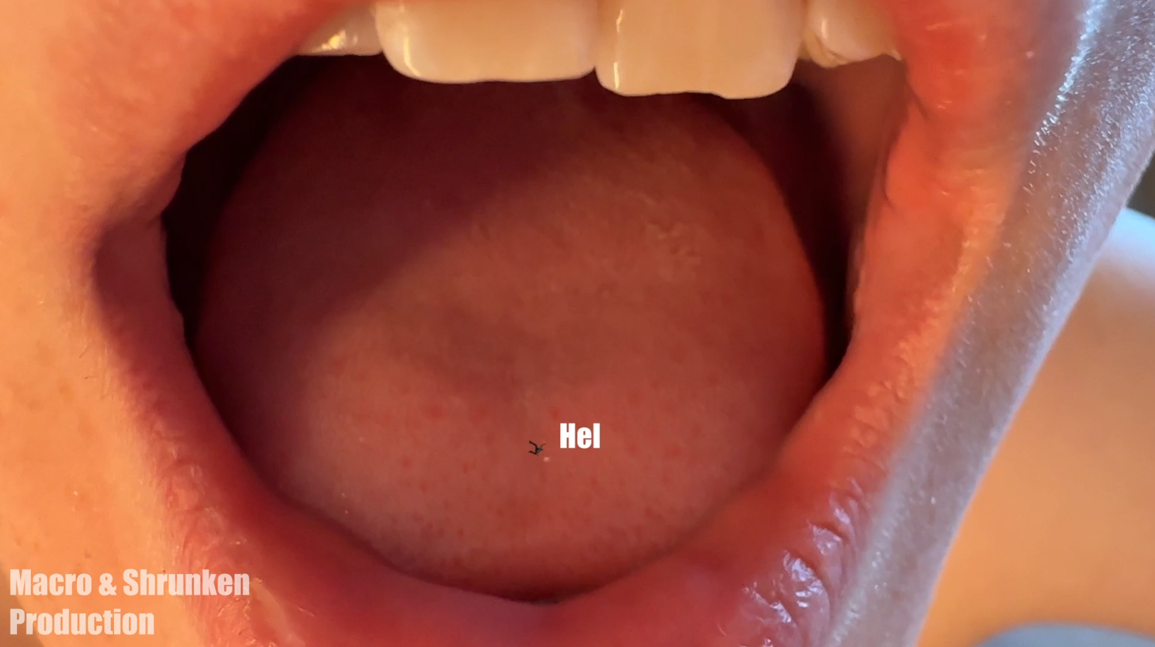 SACHA'S ROUTINE - Image 5